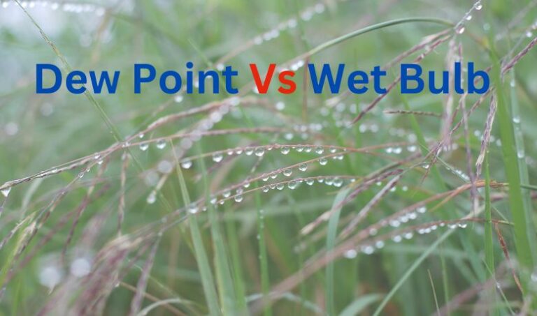 Dew Point Vs Wet Bulb