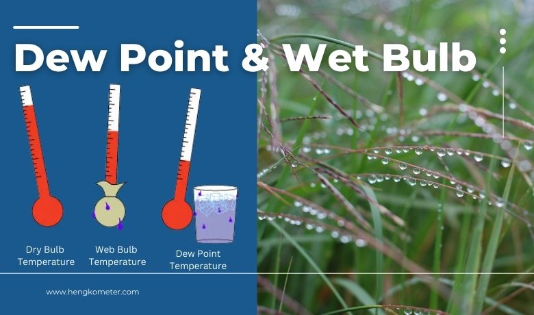 Different Dew Point and Wet Bulb Temperature