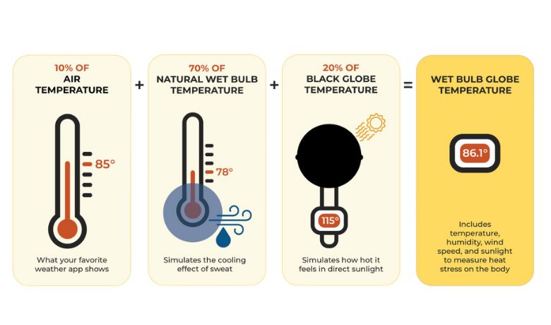 How is Wet Bulb Temperature calculate