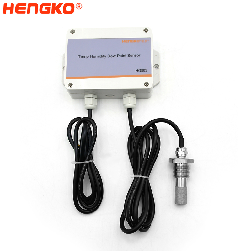 RS485 Hexagonal Probe temperature humidity transmitter HG803