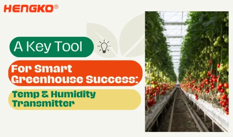 A Key Tool for Smart Greenhouse Success: Temperature and Humidity Transmitter