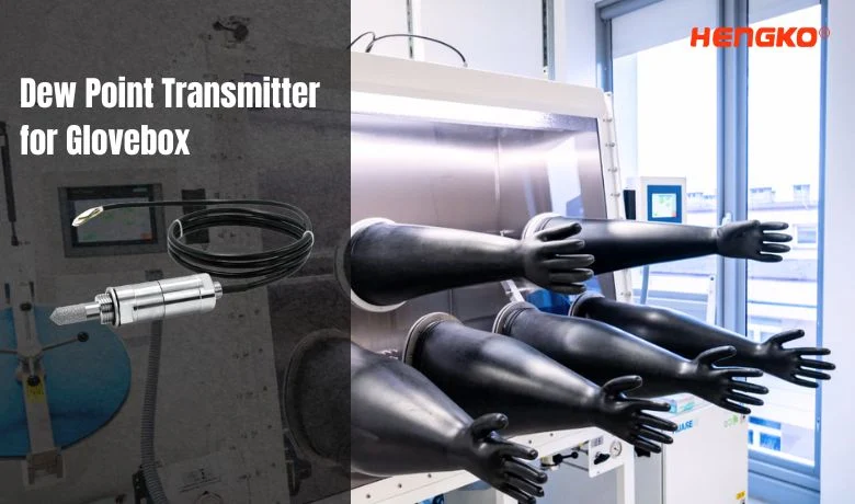 dew point for chamber glovebox made by HENGKO