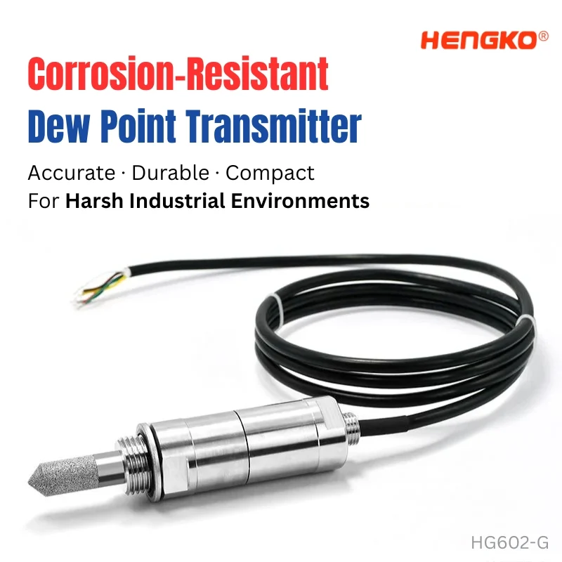 Corrosion-Resistant Dew Point Transmitter For Harsh Industrial Environments